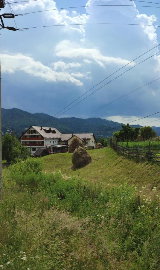 Casa De Vacanta Perla Colibitei Colibiţa 외부 사진