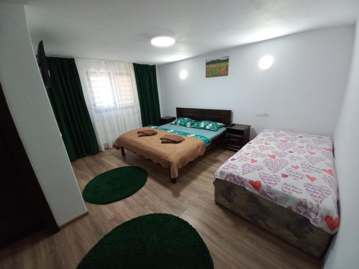 Casa De Vacanta Perla Colibitei Colibiţa 외부 사진