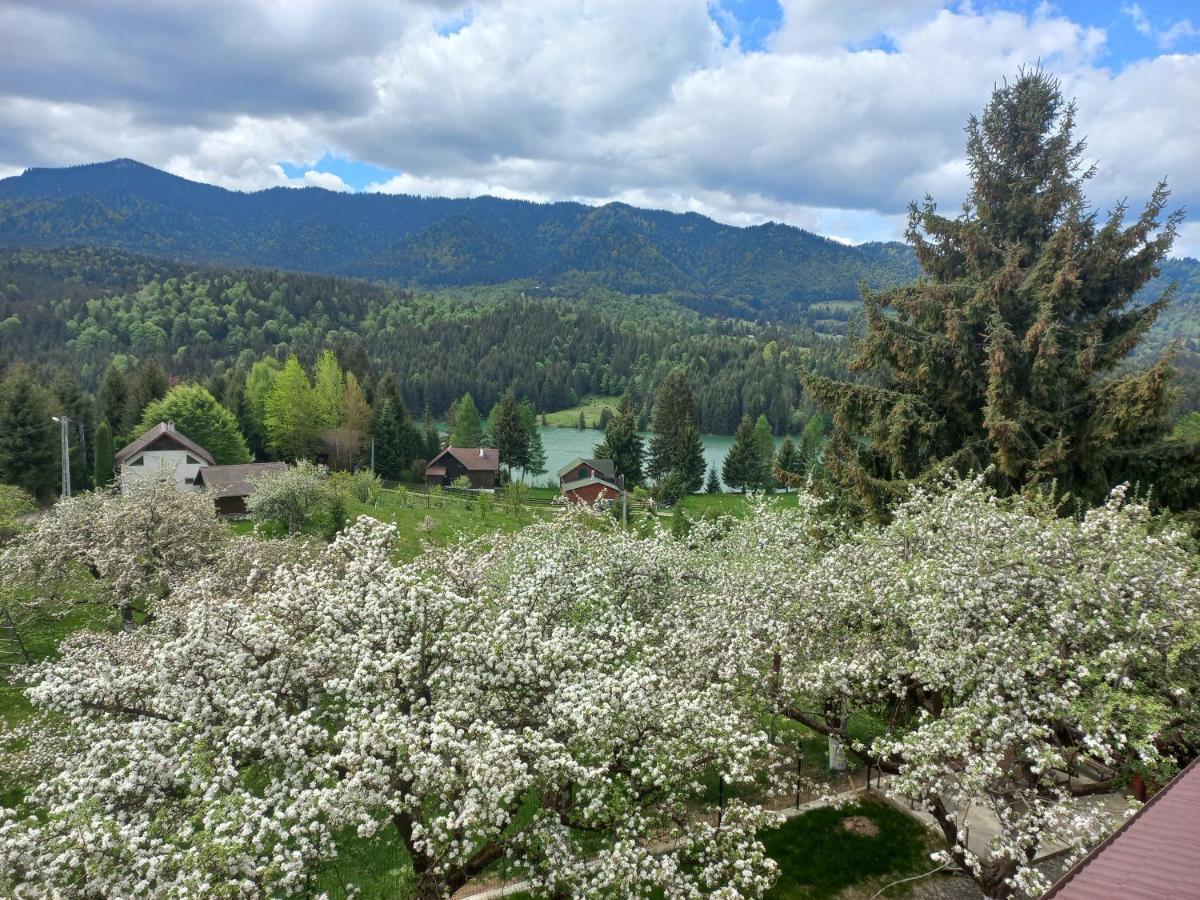 Casa De Vacanta Perla Colibitei Colibiţa 외부 사진