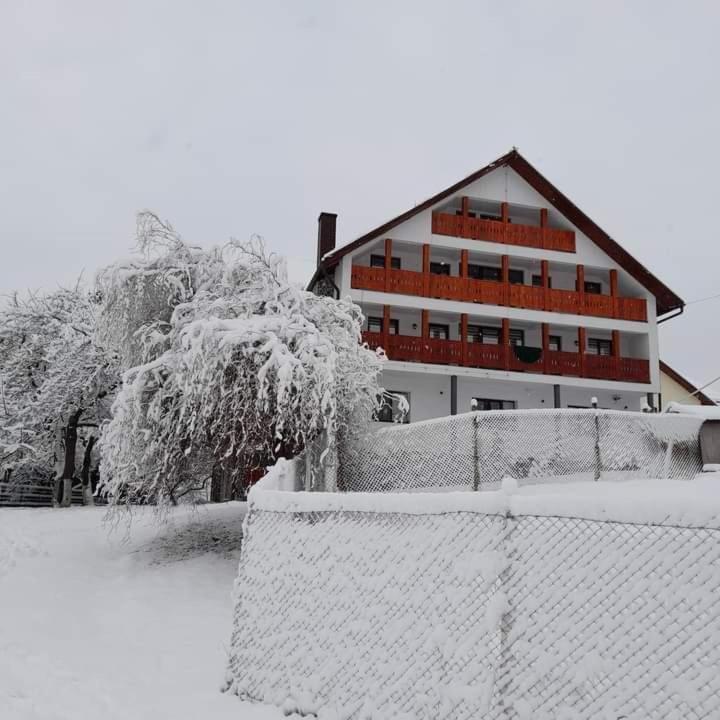 Casa De Vacanta Perla Colibitei Colibiţa 외부 사진